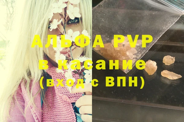 амф Алексин