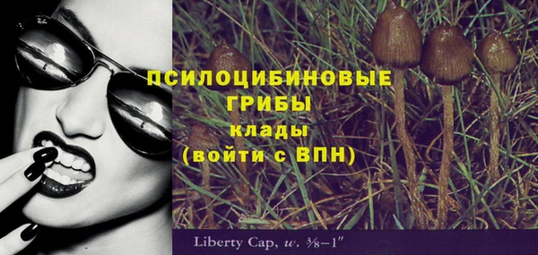 гидра Алзамай