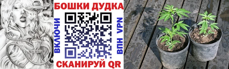 Бошки марихуана LSD WEED  купить наркотик  Сосенский 
